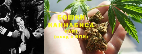 гидра Лагань