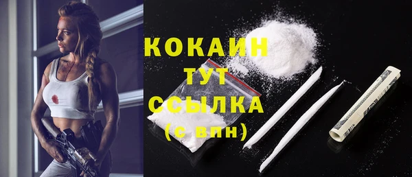 гидра Лагань