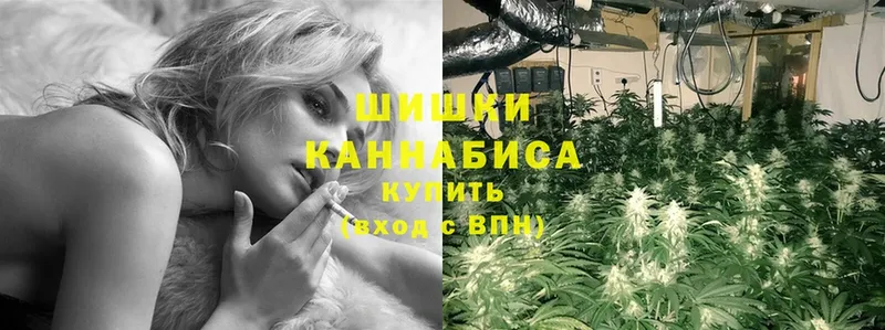 сайты даркнета Telegram  как найти закладки  Калачинск  Марихуана White Widow 