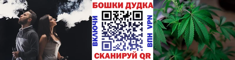Шишки марихуана семена как найти закладки Калачинск